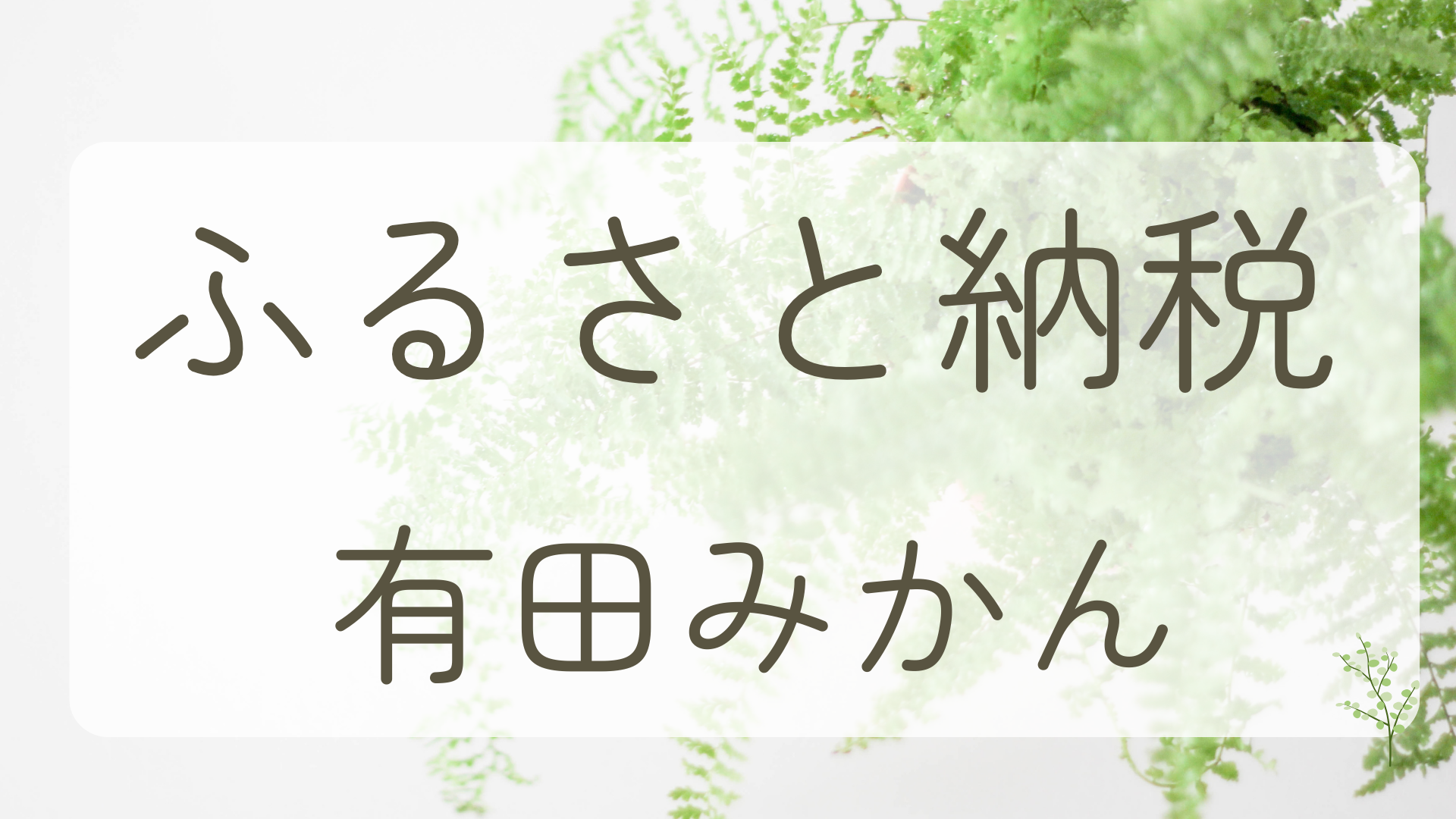 【2023年】ふるさと納税・和歌山県湯浅町・有田みかん3kg